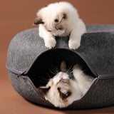 Tunnel Cat Bed