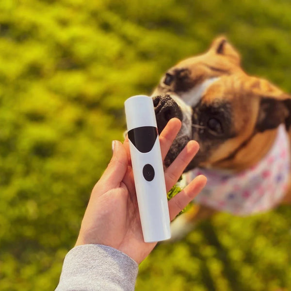 Amazon.com: Pet Dog Nail Grinder: Upgraded WXY Cat Dog Nail Trimmers 10H  Grinding Time | Dog Nail Clipper with 2 LED Lights Power Display | USB  Rechargeable Pet Nail Clippers for Small